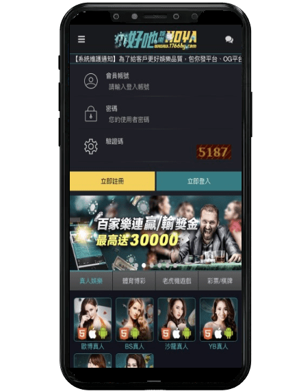 金大發娛樂城平台畫面